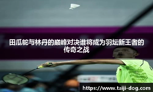 田瓜鸵与林丹的巅峰对决谁将成为羽坛新王者的传奇之战